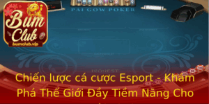 Chien Luoc Ca Cuoc Esport Kham Pha The Gioi Ay Tiem Nang Cho Nguoi Choi