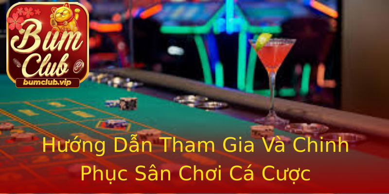Hướng Dẫn Tham Gia Và Chinh Phục Sân Chơi Cá Cược Hướng Dẫn Tham Gia Và Chinh Phục Sân Chơi Cá Cược