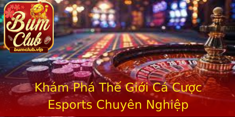 Khám Phá Thế Giới Cá Cược Esports Chuyên Nghiệp Khám Phá Thế Giới Cá Cược Esports Chuyên Nghiệp