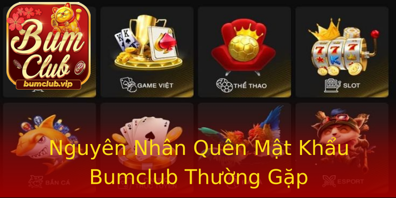 Nguyên Nhân Quên Mật Khẩu Bumclub Thường Gặp Nguyên Nhân Quên Mật Khẩu Bumclub Thường Gặp