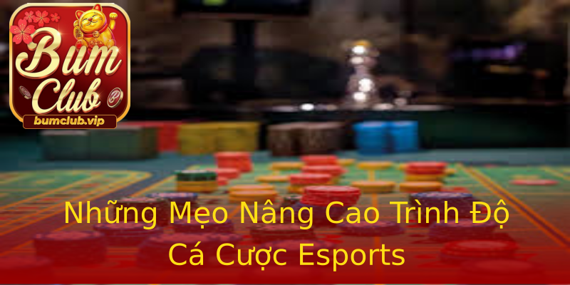 Những Mẹo Nâng Cao Trình Độ Cá Cược Esports Những Mẹo Nâng Cao Trình Độ Cá Cược Esports
